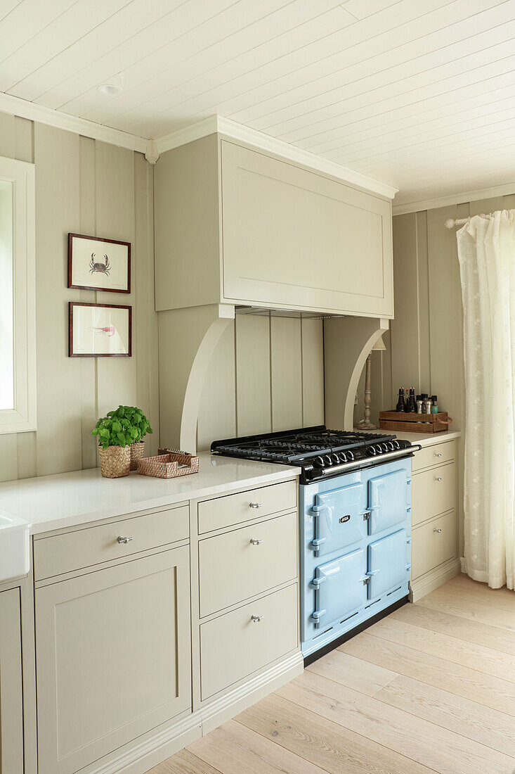 Vintage-style kitchen range in kitchen in Long Island style