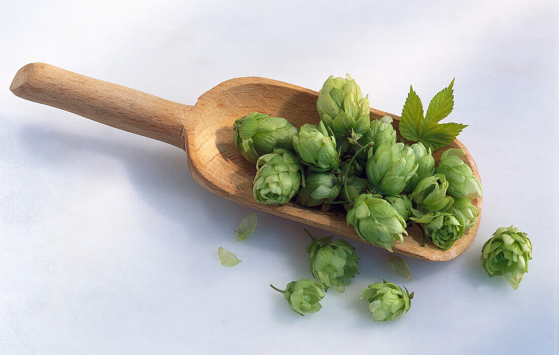 Holzschaufel mit Hopfen