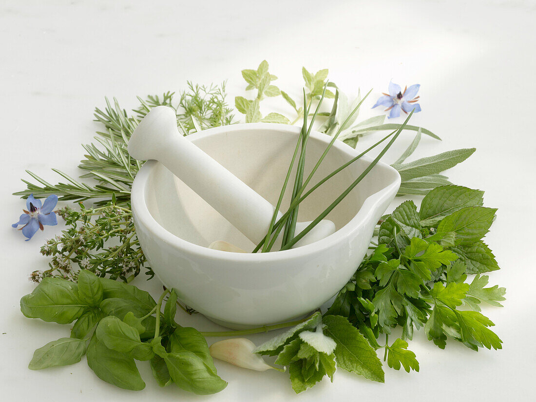 Mortar surrounded by herbs