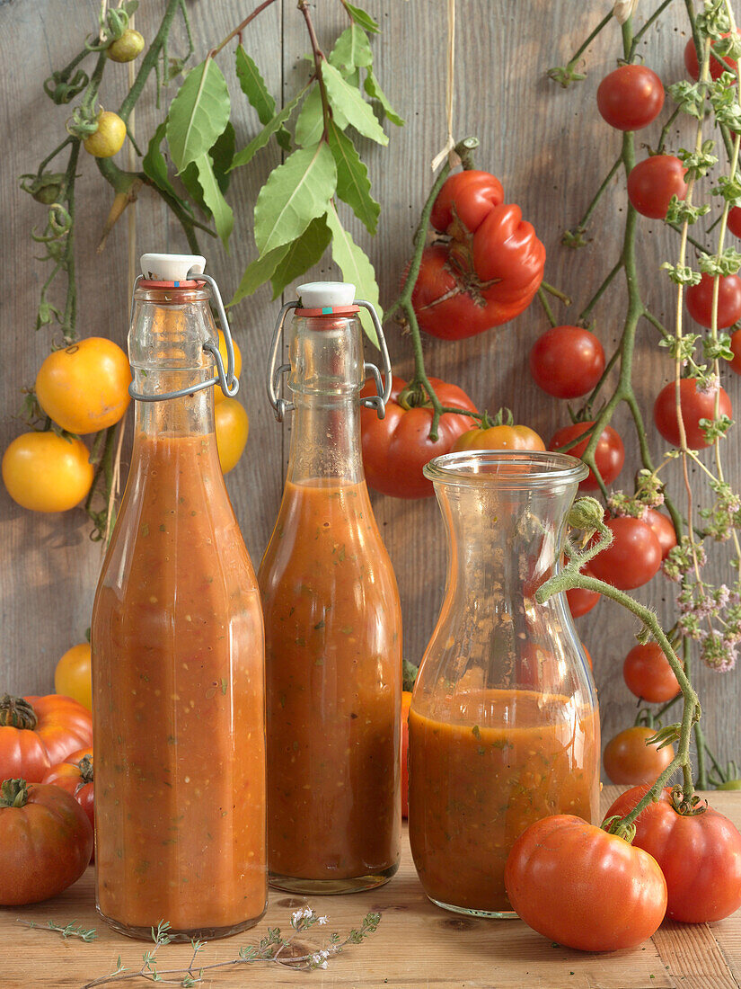 Selbstgemachte Tomatensauce mit Kräutern in Flaschen