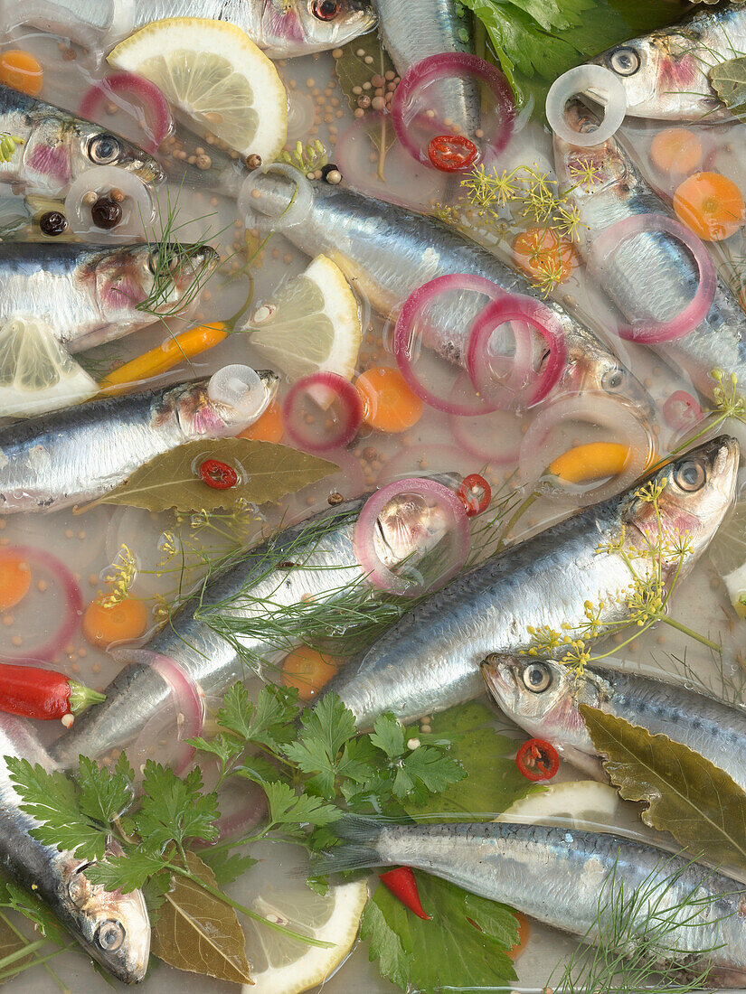 Marinated mackerel in vinegar with red onion rings and herbs