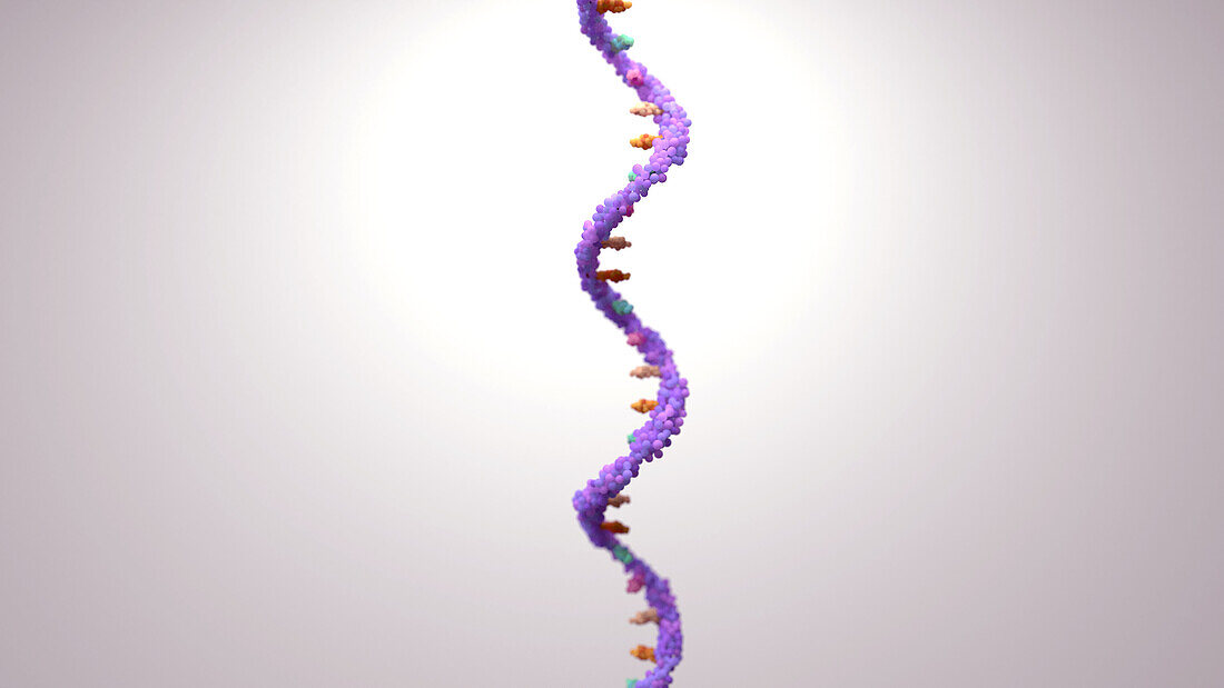 RNA molecule, conceptual illustration