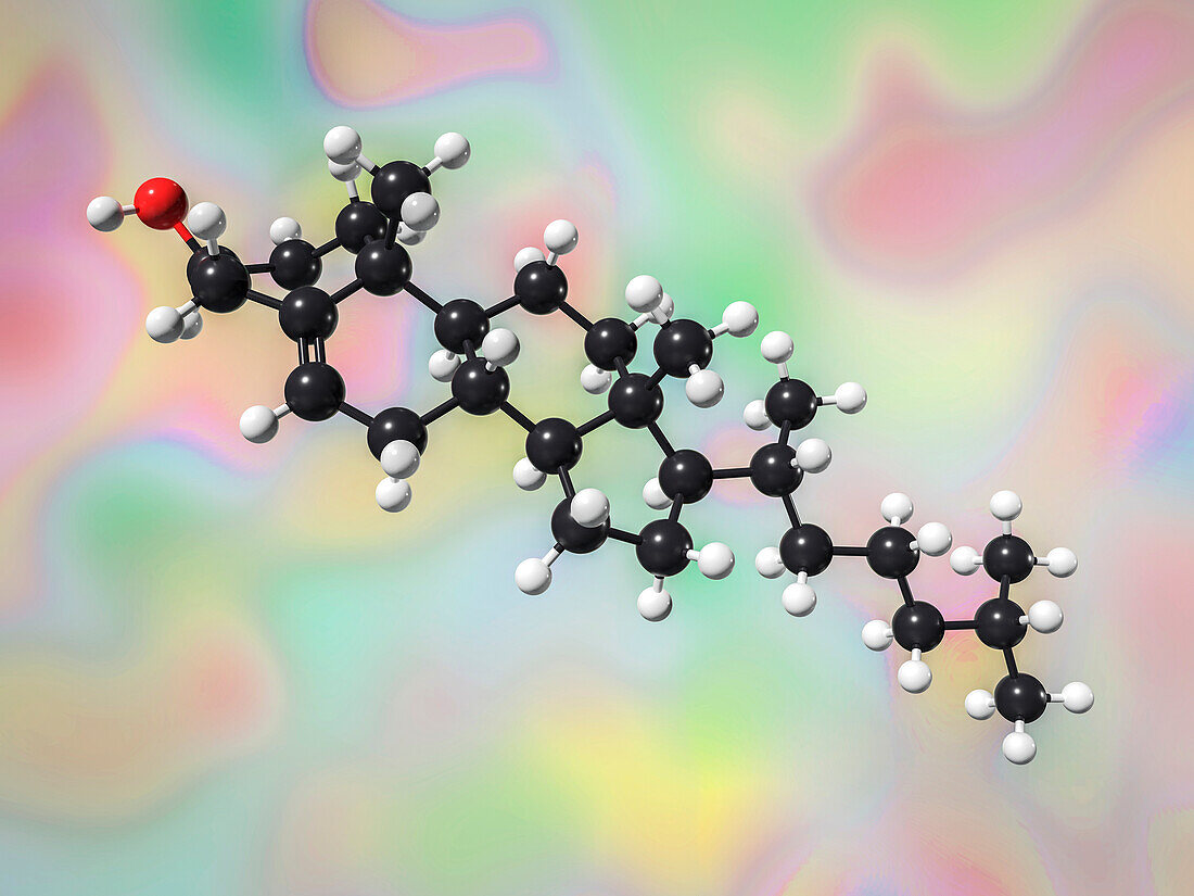 Cholesterol molecule, illustration