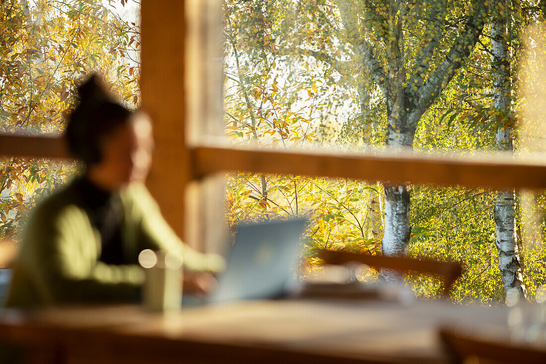 Woman working on laptop in cafe with autumn tree view