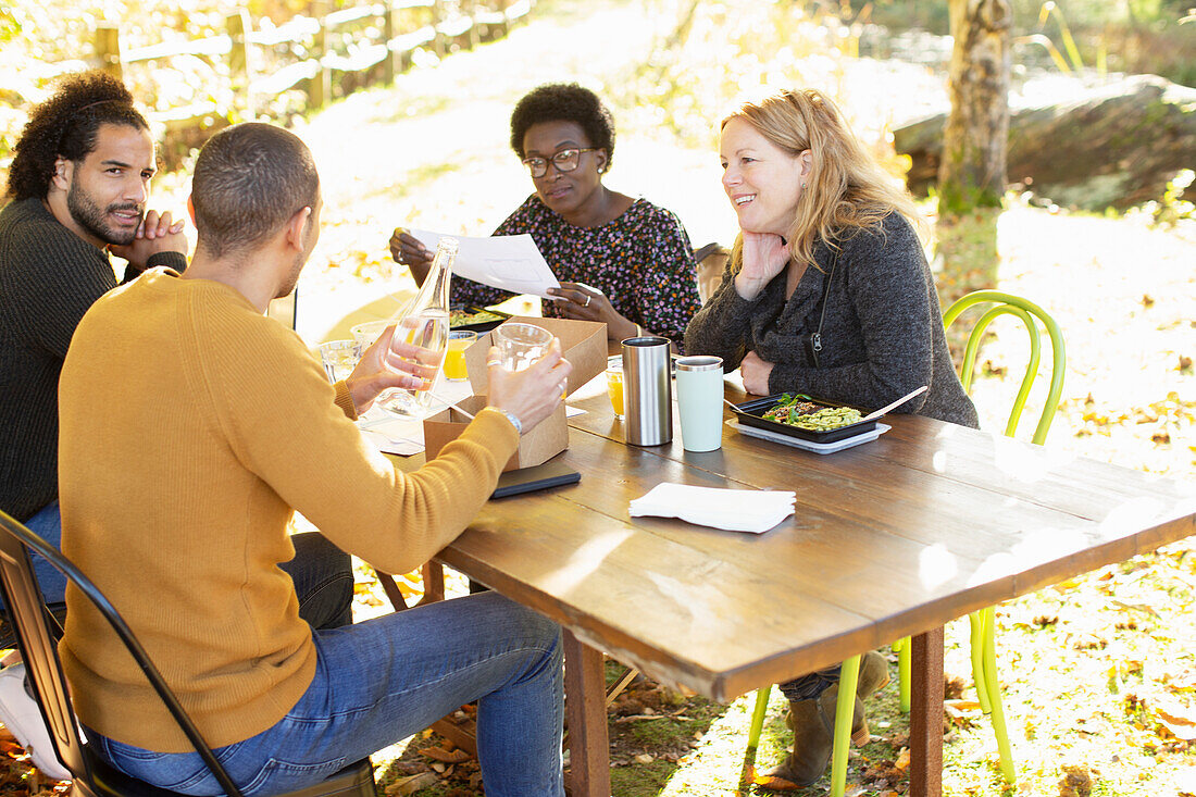 Business people meeting and eating lunch at table in park