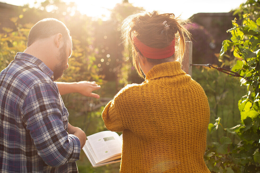 Couple with gardening book planning in sunny summer backyard