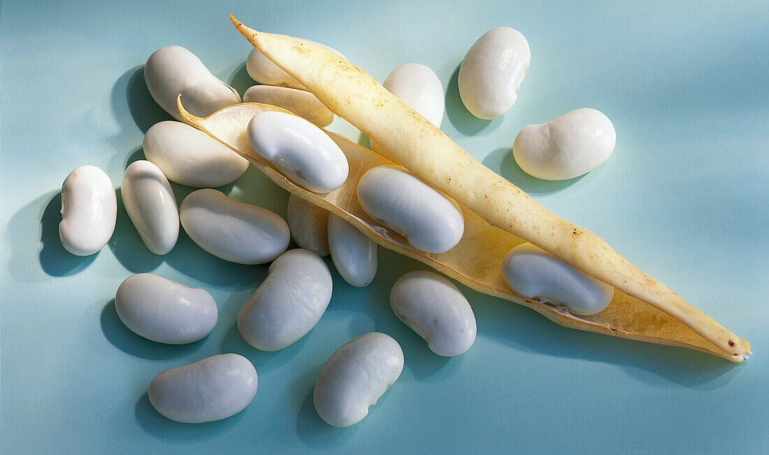 Fresh white beans