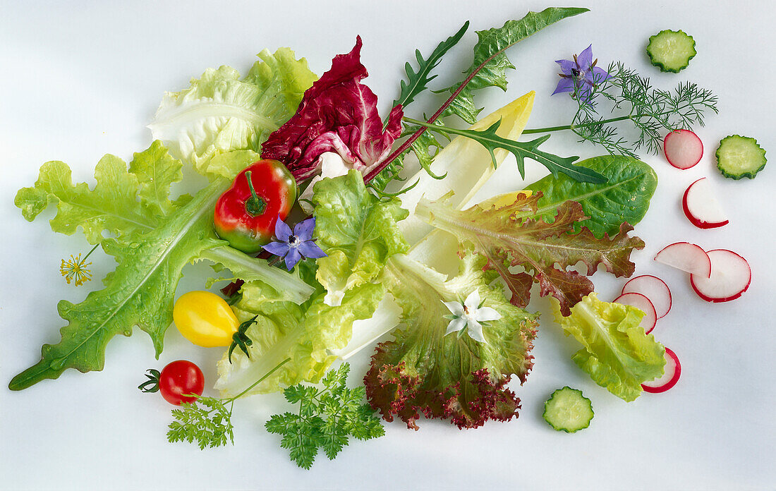 Various salad ingredients on a light background
