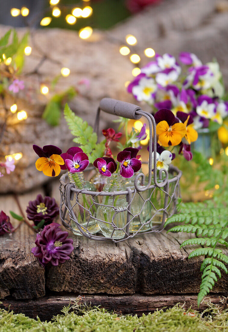 Small bottles with horned violet flowers in wire basket