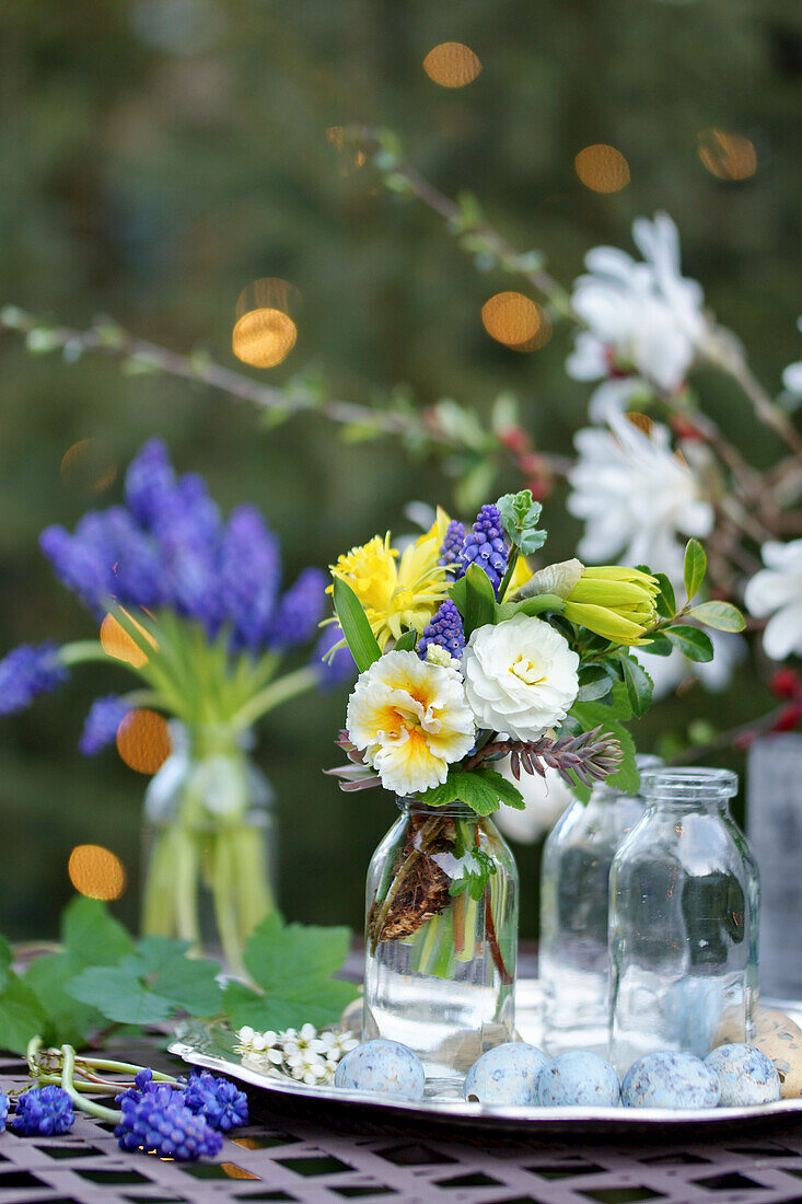 Mini bouquet of primrose blossoms, daffodils, grape hyacinths and box in small bottle