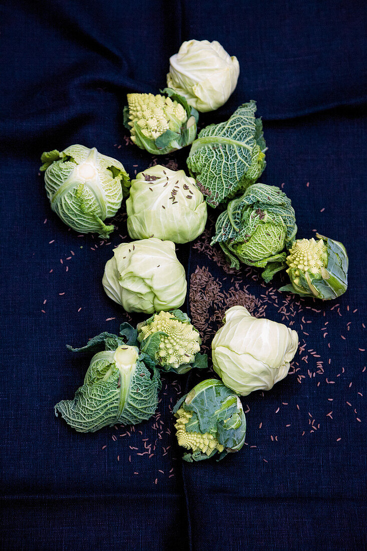 Baby cabbage: Savoy cabbage, romanesco and white cabbage