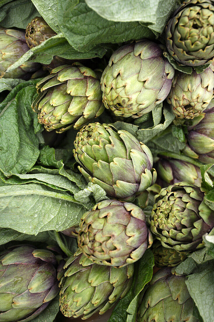 Artichokes