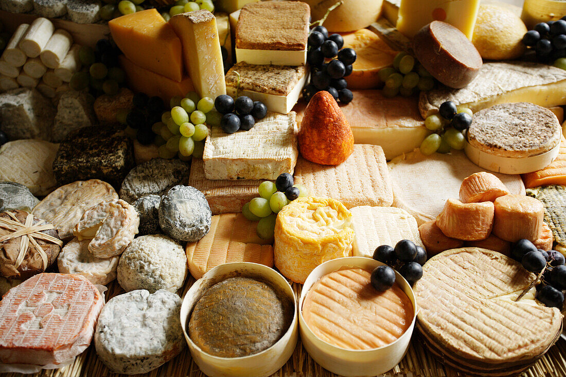 Display of different types of cheese