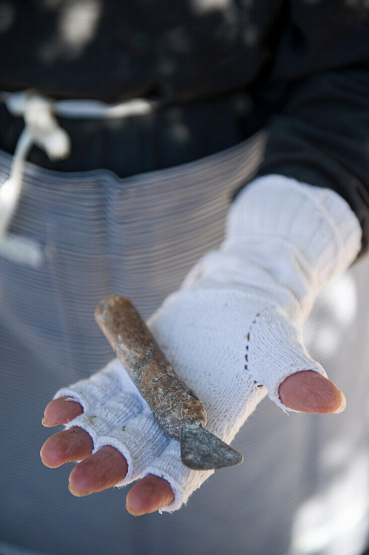 Hand hält scharfes Werkzeug zur Gewinnung von Mastix-Harz, Insel Chios, Griechenland