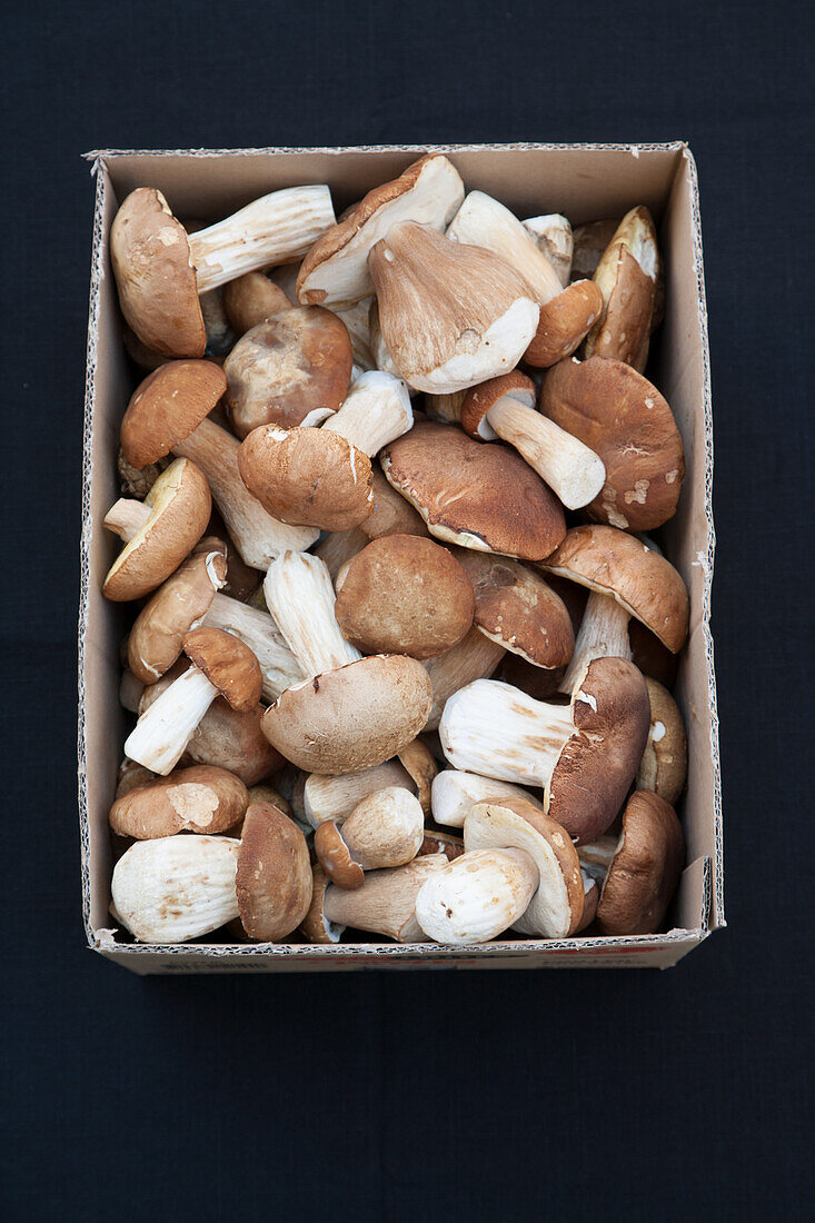 Box of fresh porcini mushrooms