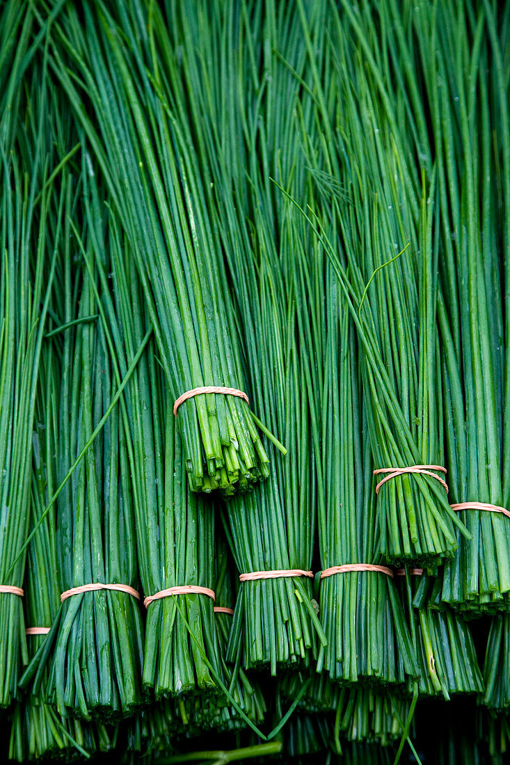 Several bunches of chives