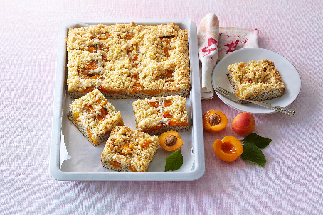 Mohnkuchen mit Aprikosen und Haferbrösel