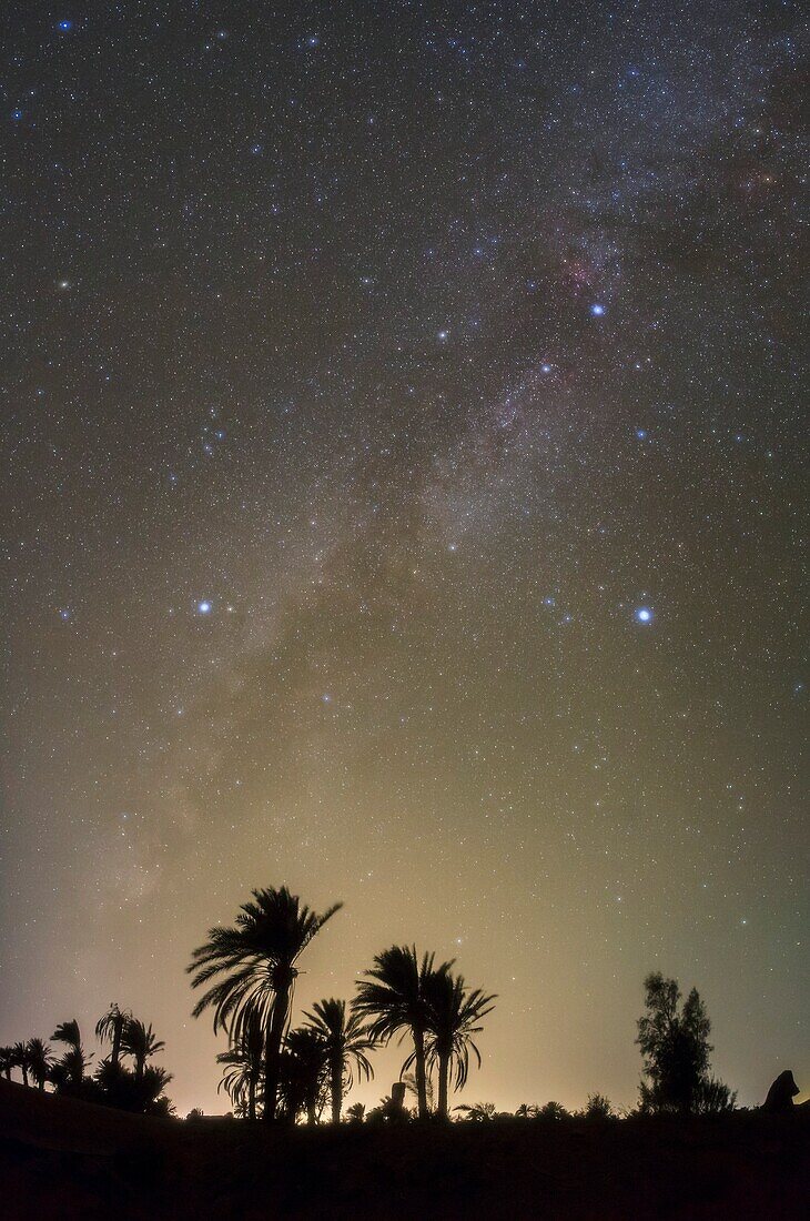 Milky Way over a palm grove, Iran