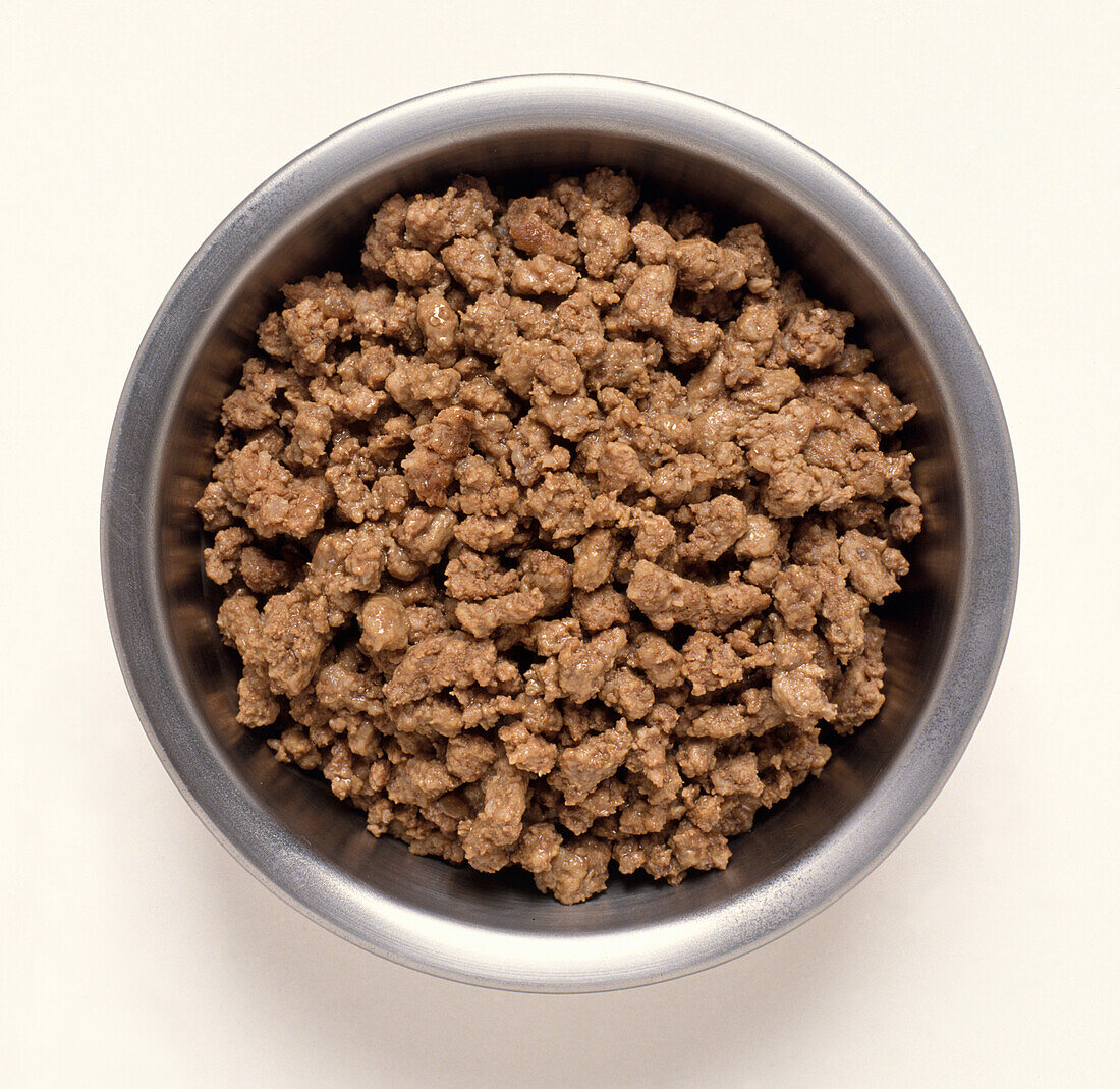 Dog bowl of mince meat