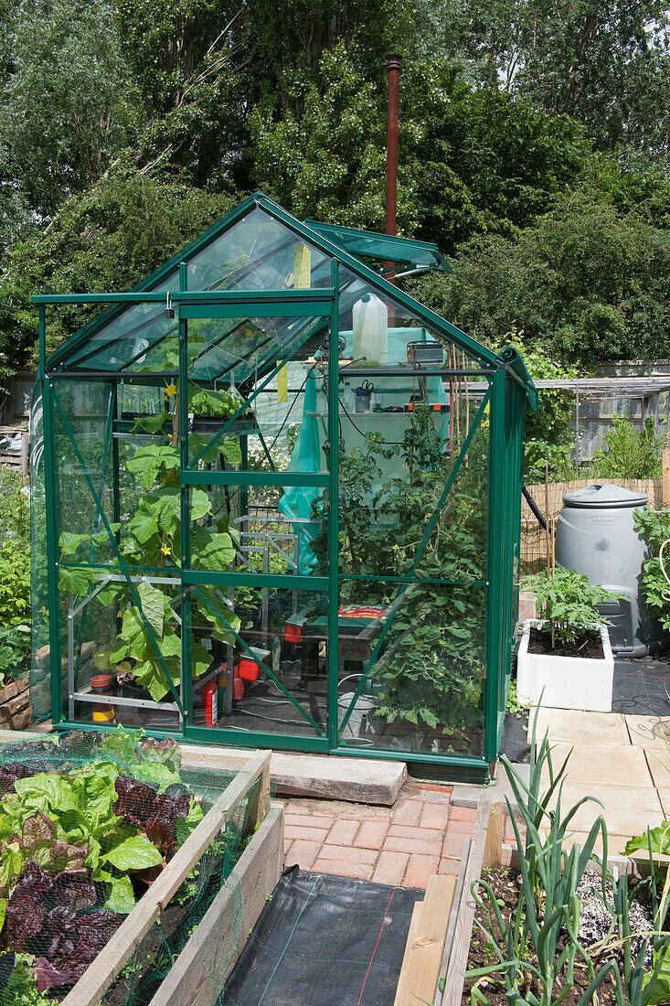 Greenhouse on allotment