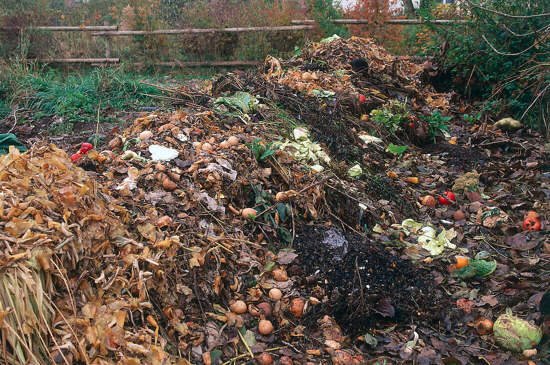 Heap of compost