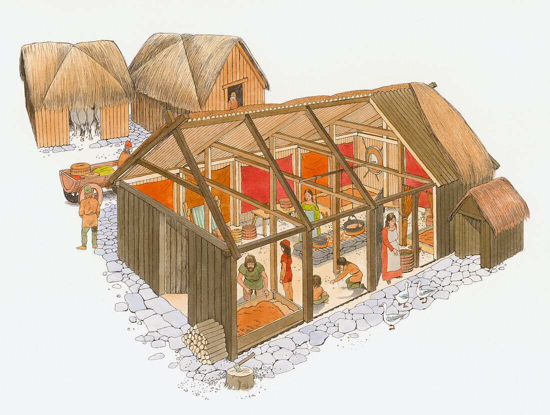 Viking house, illustration