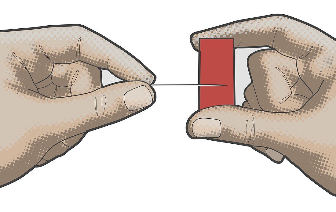 Magnetized needle, illustration