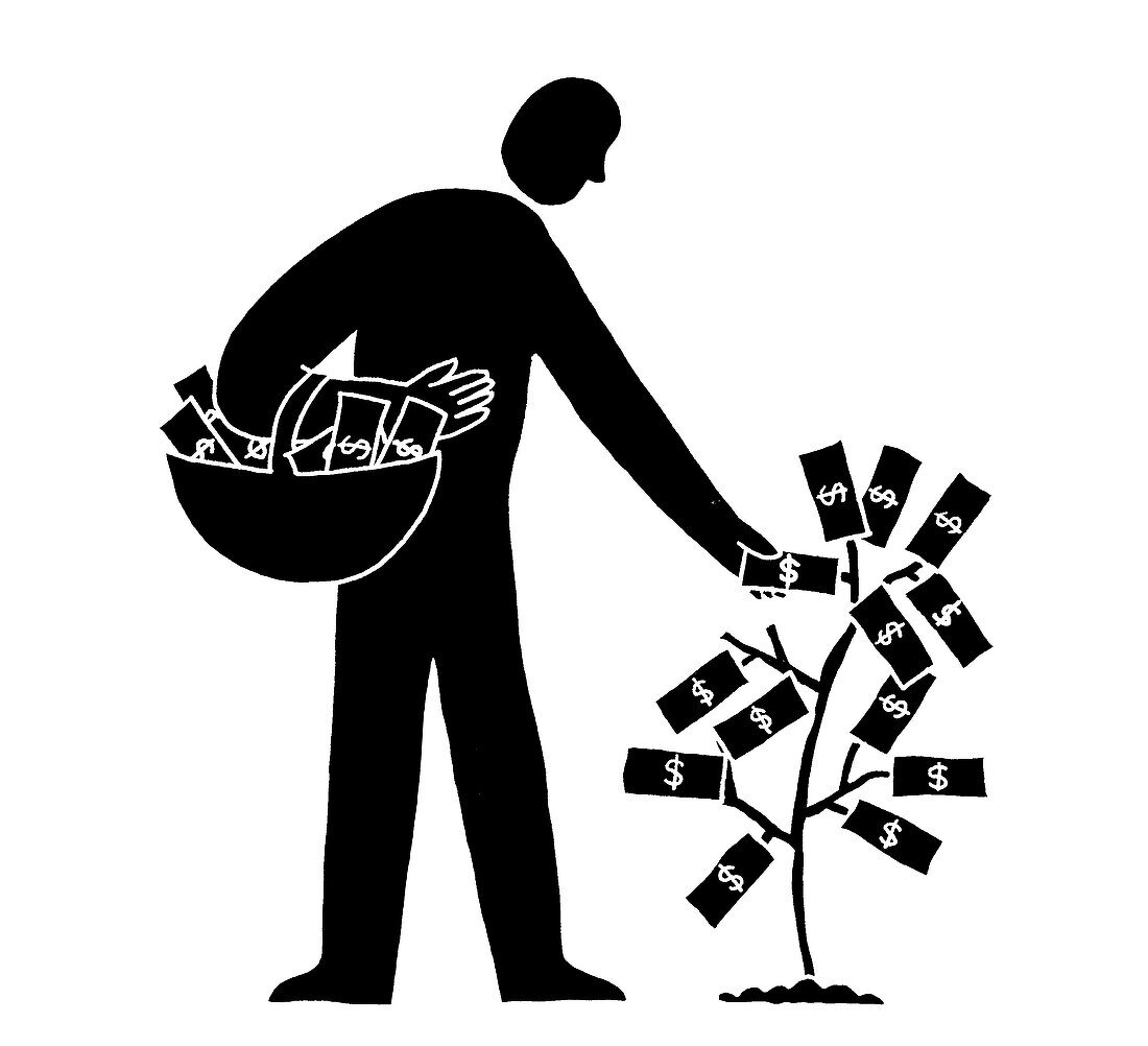 Money tree, illustration