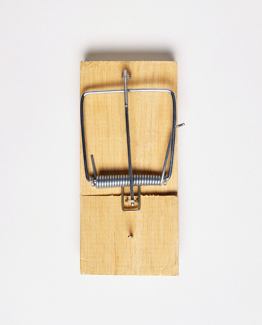 Wood and wire mousetrap