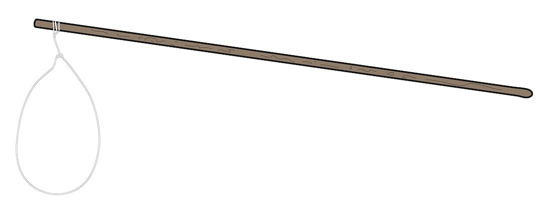 Noose stick, illustration