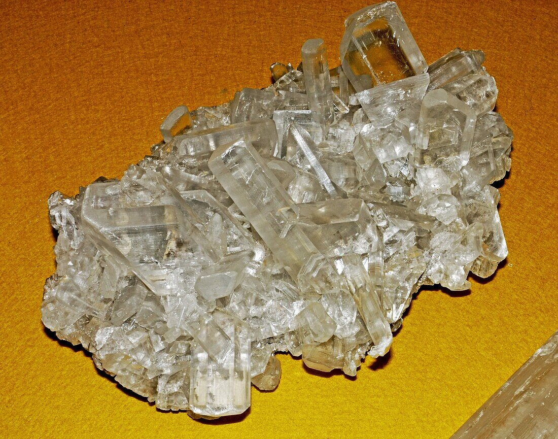 Gypsum crystal group