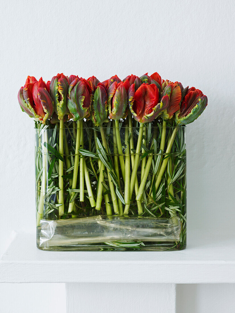 Tulips and rosemary in a cube vase