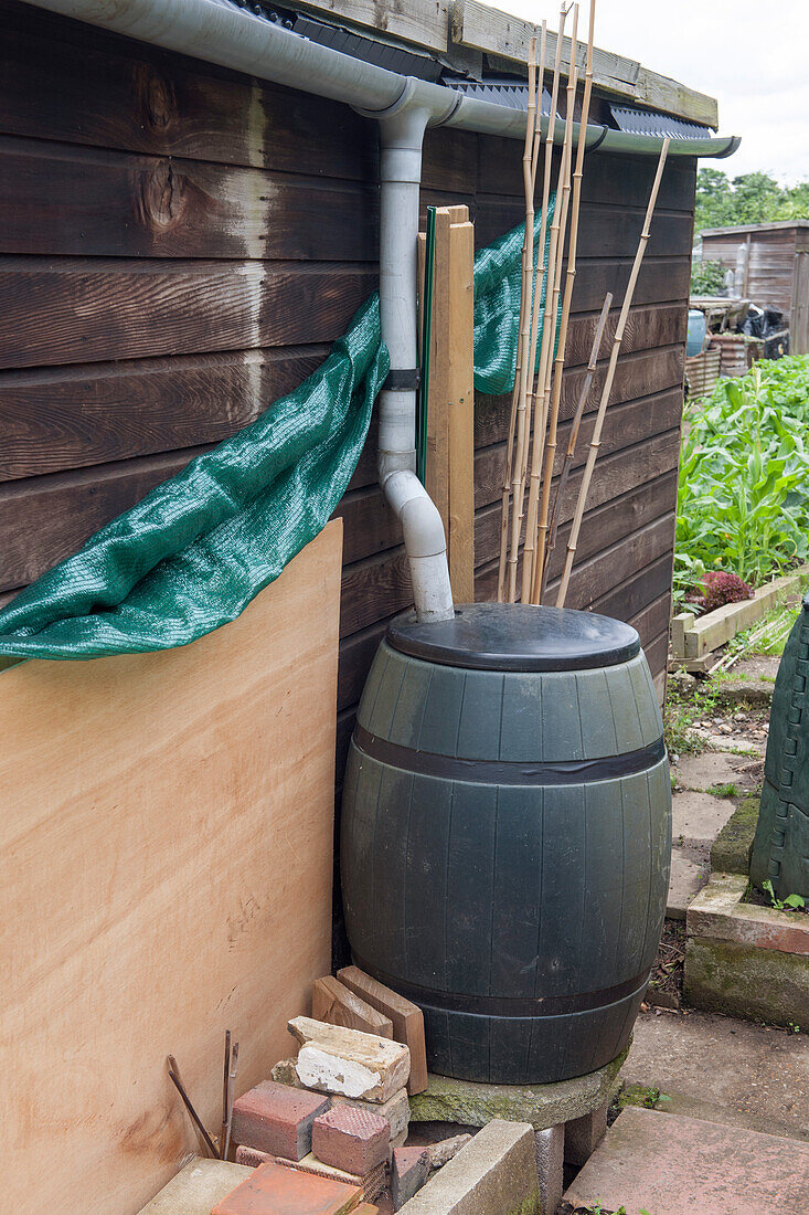 Water butt in allotment