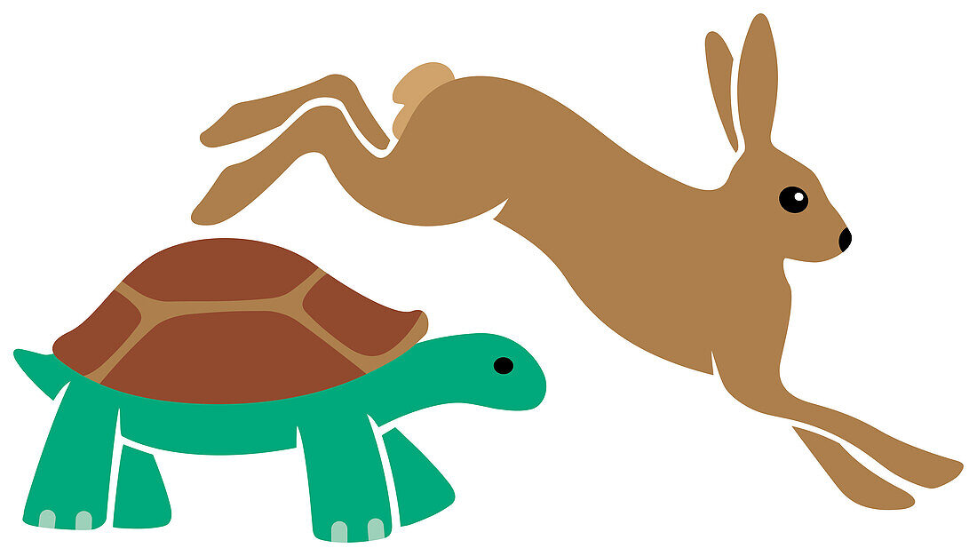 Rabbit jumping over tortoise, illustration