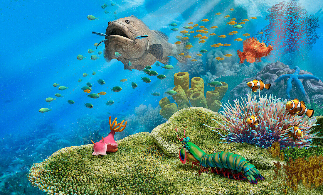 Underwater scene, illustration