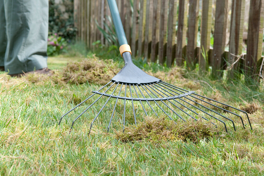 Using lawn rake to collect mown grass