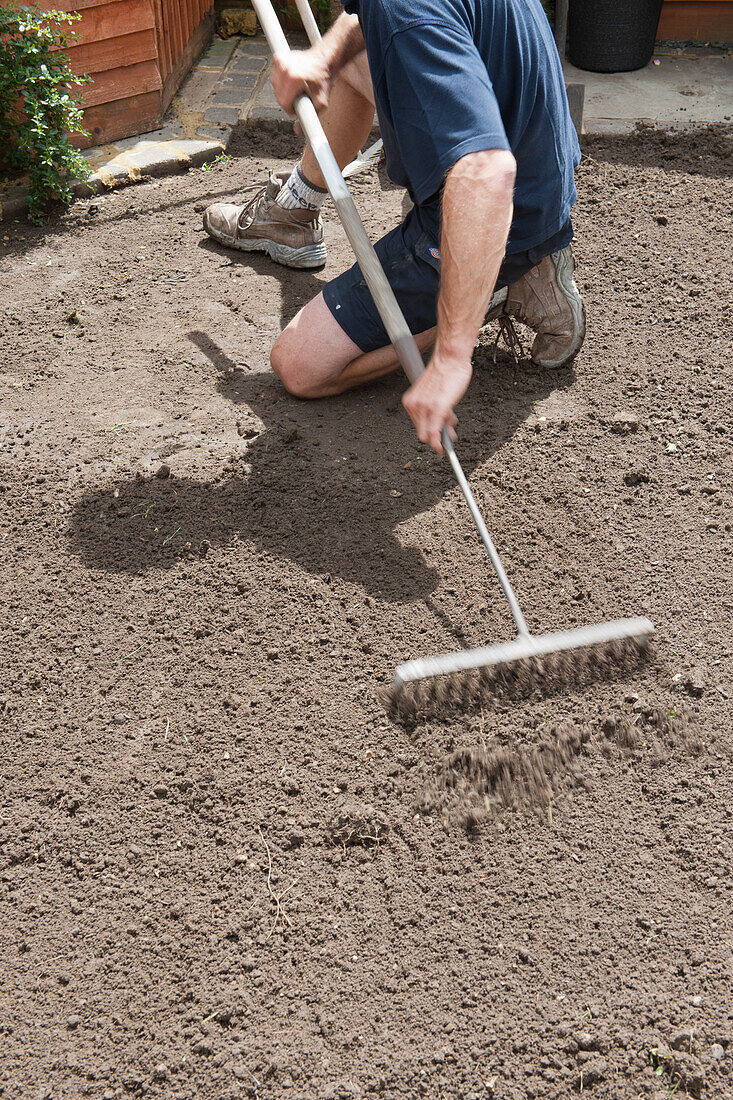Raking soil in preparation for laying turf