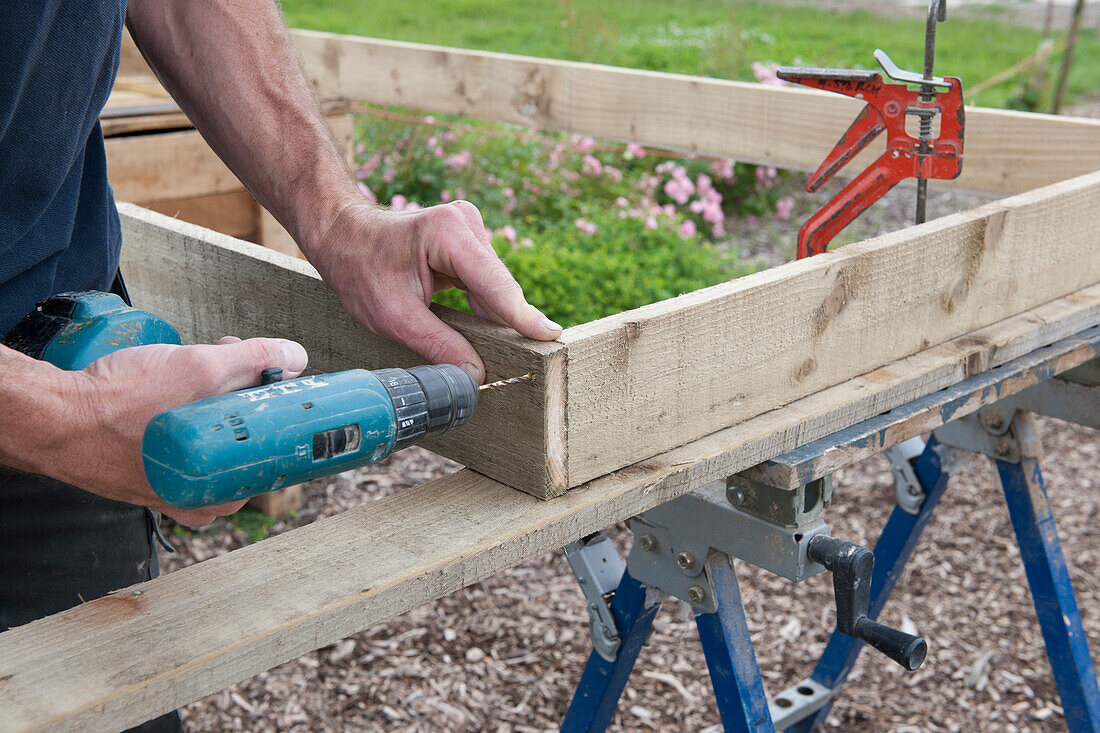 Building a wood frame with drill and clamp