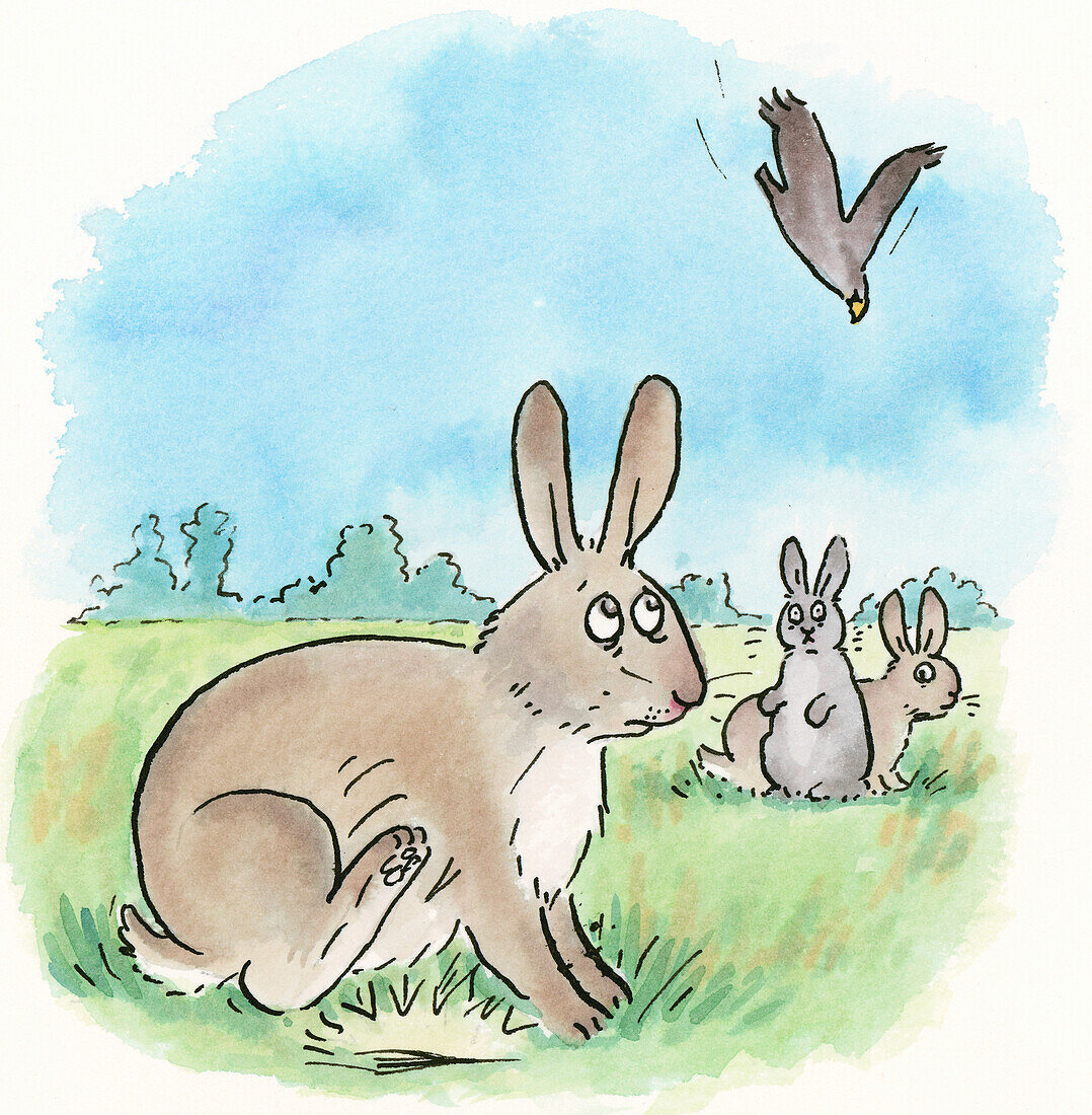 Rabbit thumping on the ground, illustration