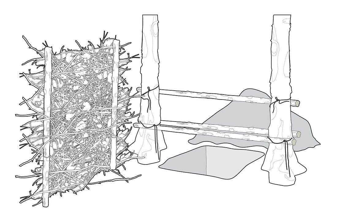 Deep trench latrine, illustration