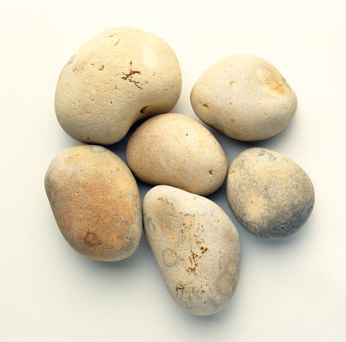 Six approximately similar light coloured pebbles