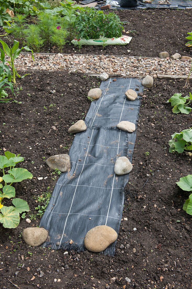 Fabric membrane pinned down with large pebbles