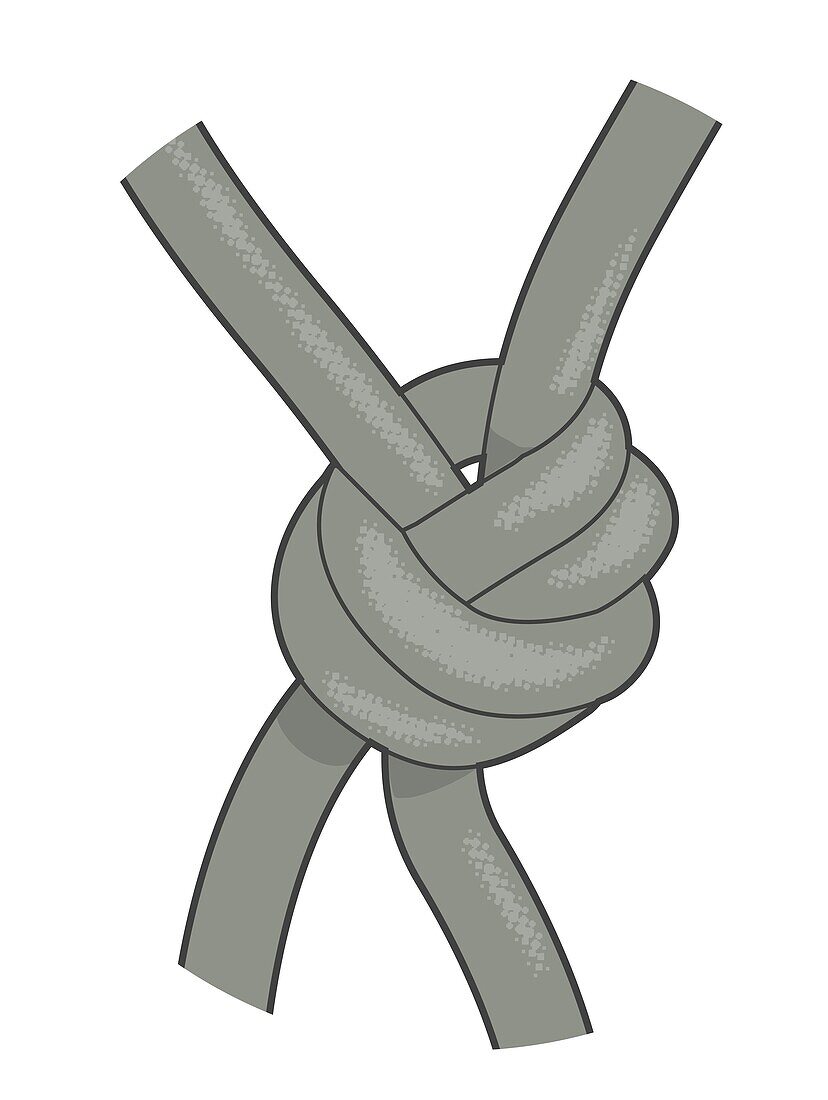 Overhand knot for gill net, illustration