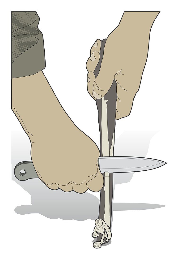 Making a feather stick, illustration