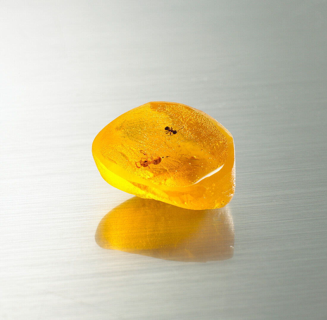 Replica amber with ants trapped inside