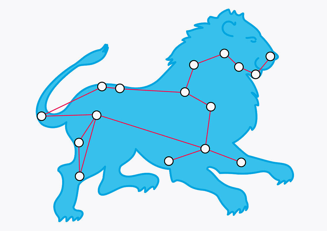 Leo Major constellation represented as lion, illustration