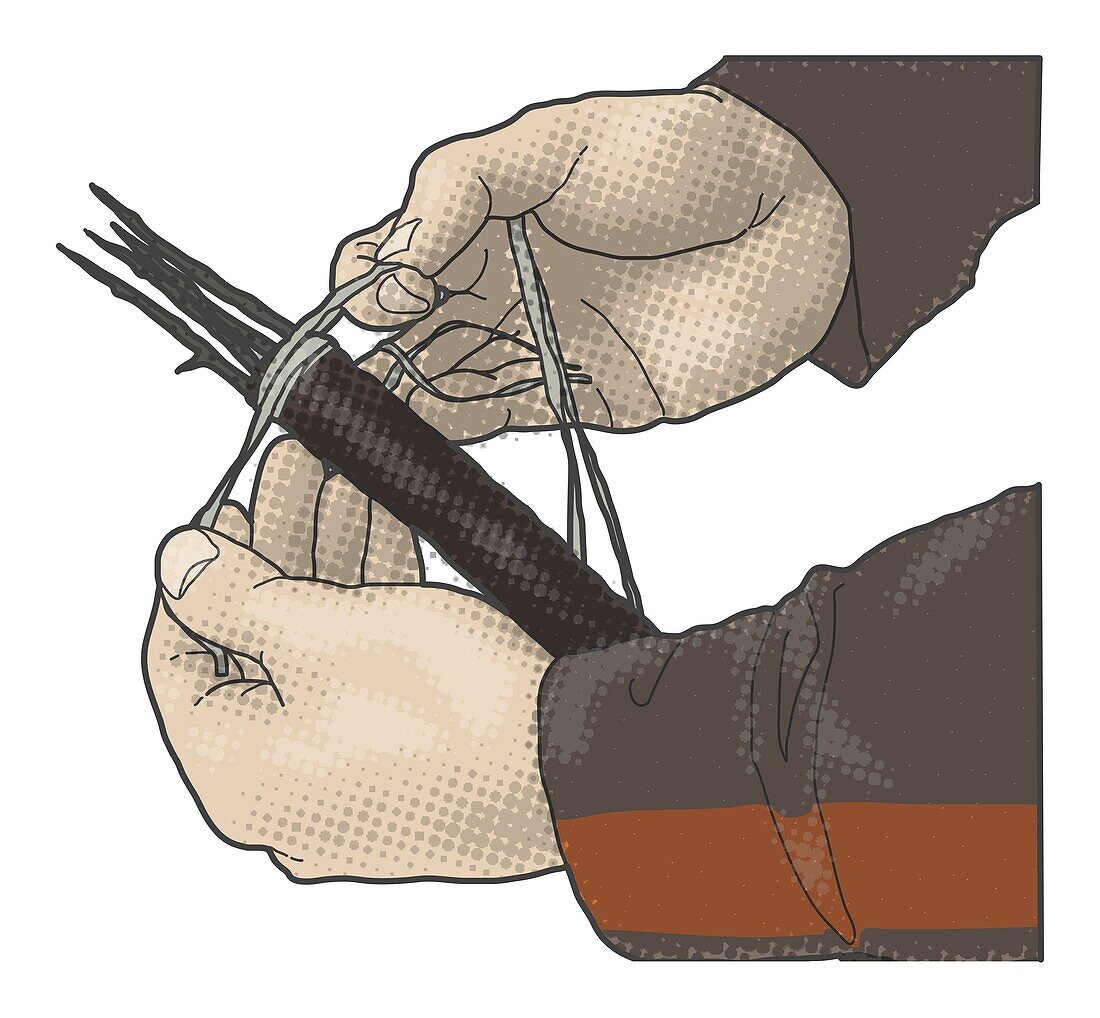 Making an improvised harpoon, illustration