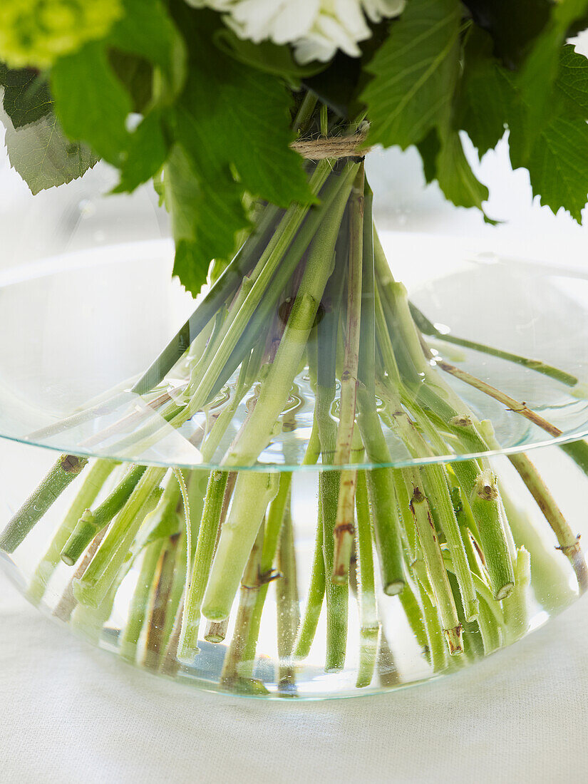 Stems of hand tie bouquet in vase filled with water