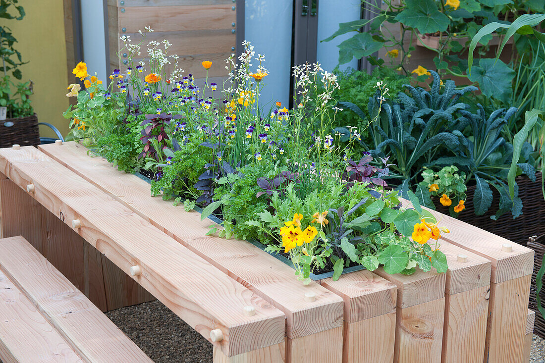 Plants in pots fitted along the centre of garden table