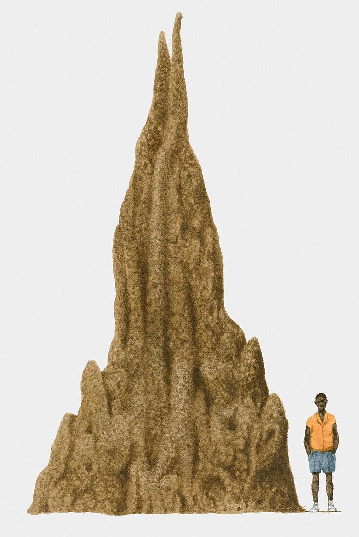 Teenager standing next to large anthill, illustration